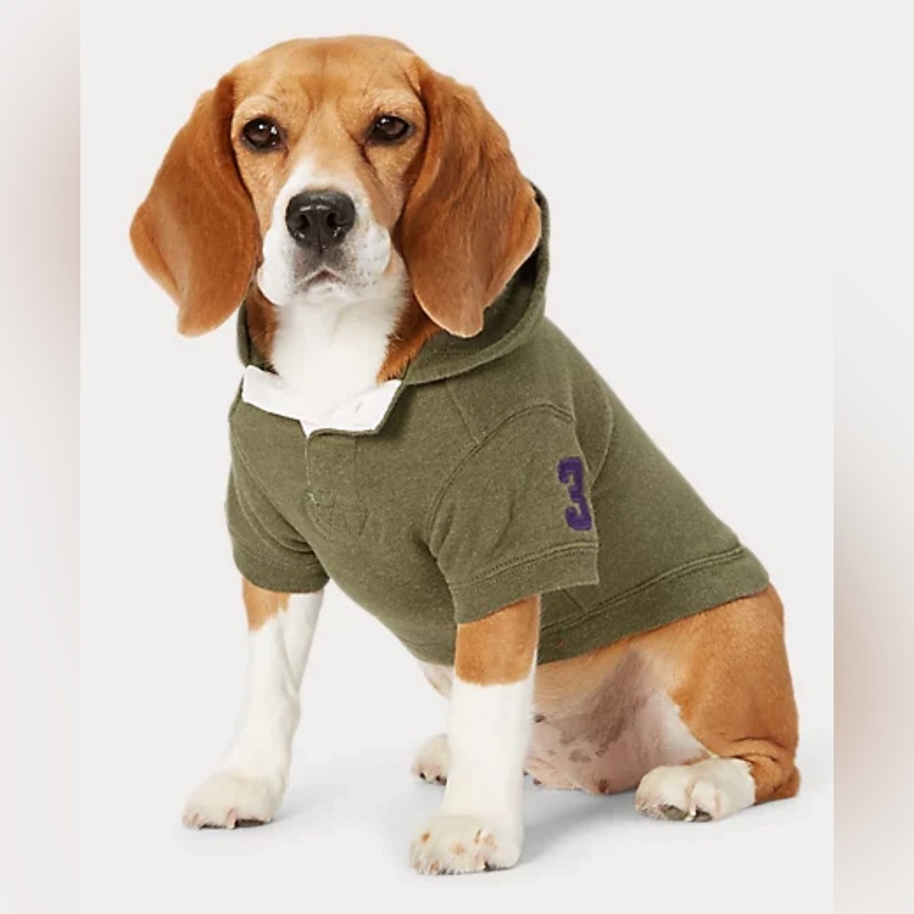 Large Hoodie Short sleeves. Signature Big Pony embroidered at the back.